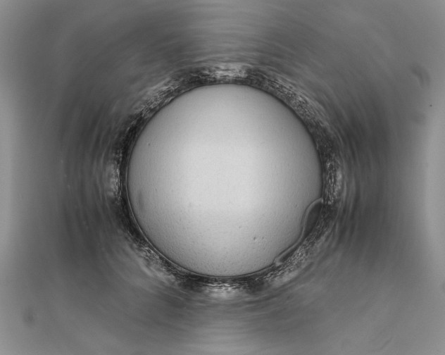 X0000111840704200908061254