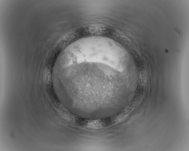 X0000111840705200908061253