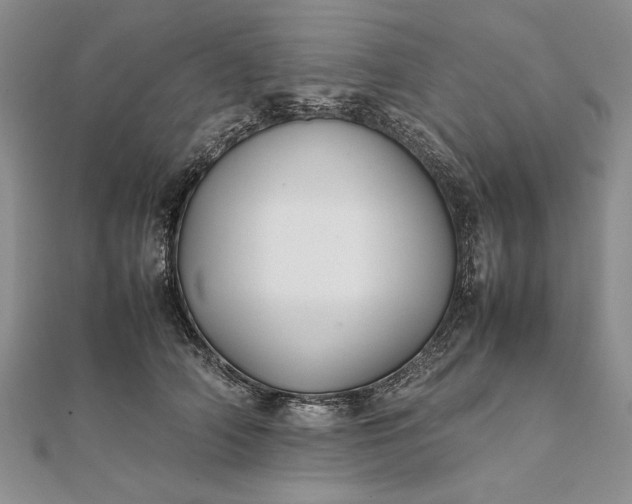 X0000111840706200908061253