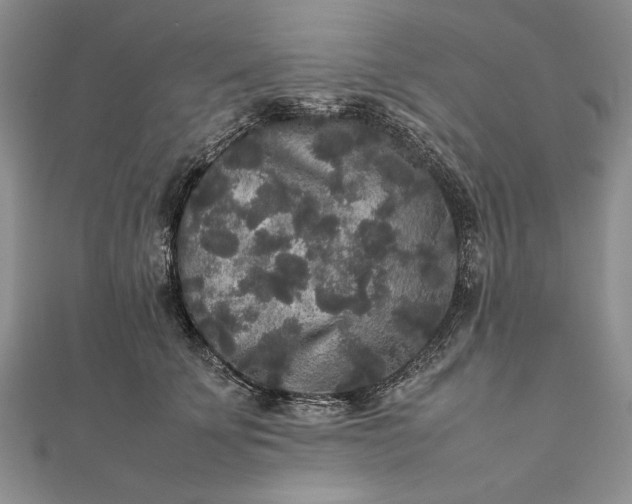 X0000111840707200908061253