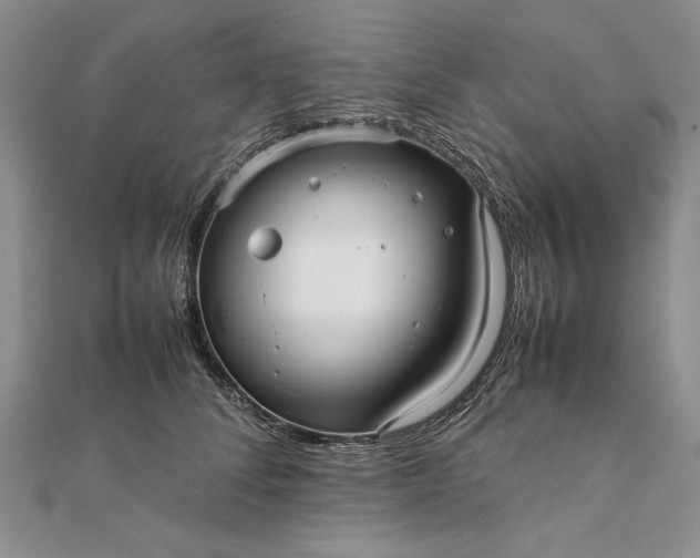 X0000111840708200908061253