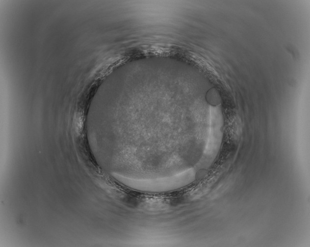 X0000111840709200908061253