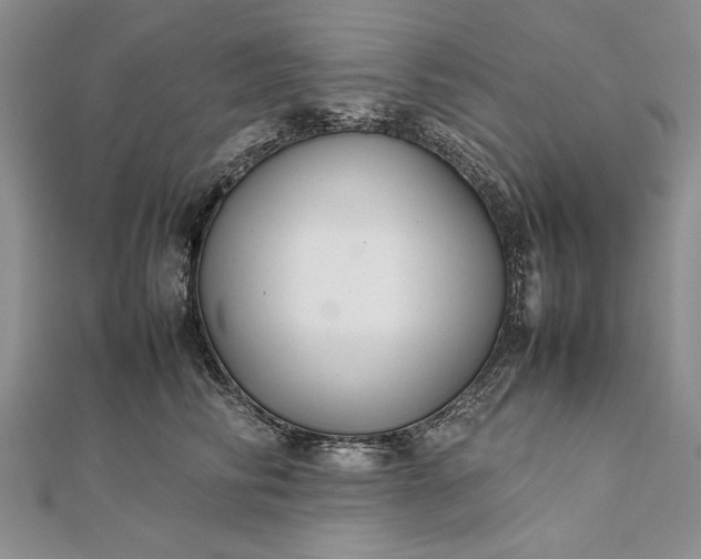 X0000111840710200908061253