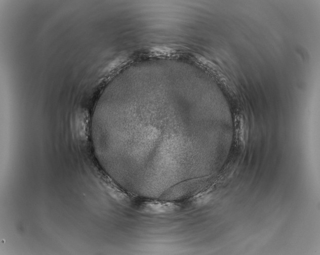 X0000111840712200908061253