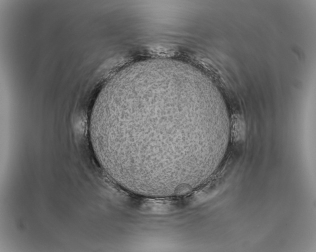 X0000111840713200908061253