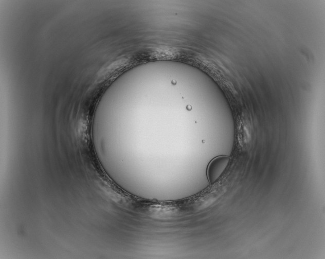 X0000111840714200908061253