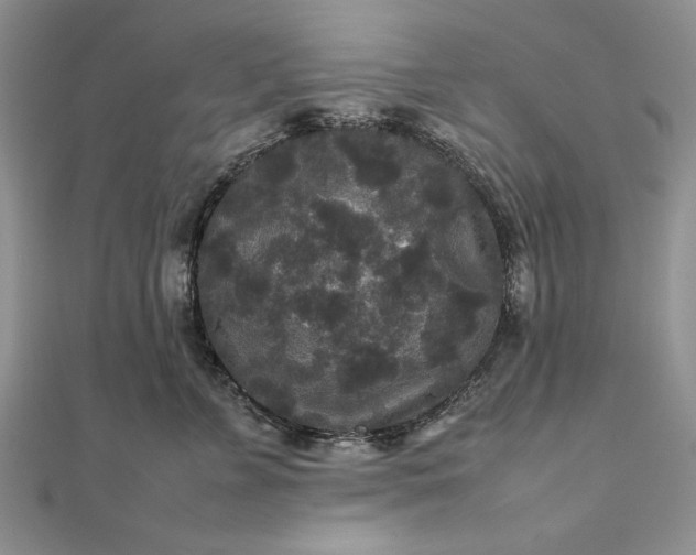 X0000111840715200908061253