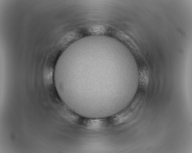 X0000111840717200908061253