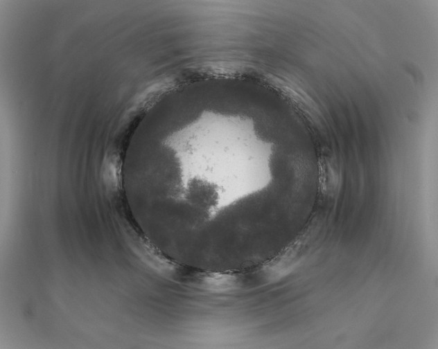 X0000111840718200908061253