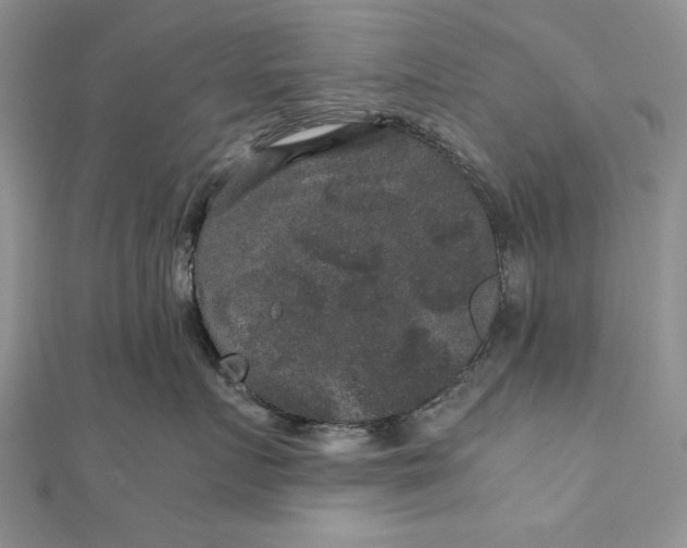 X0000111840719200908061253