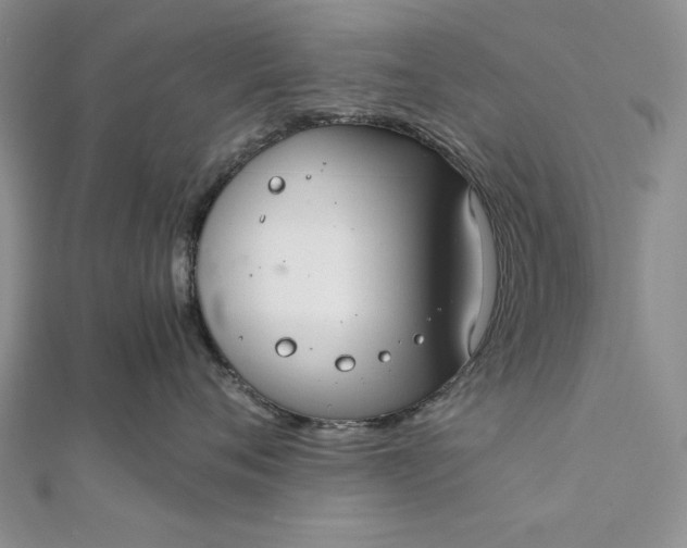 X0000111840720200908061253