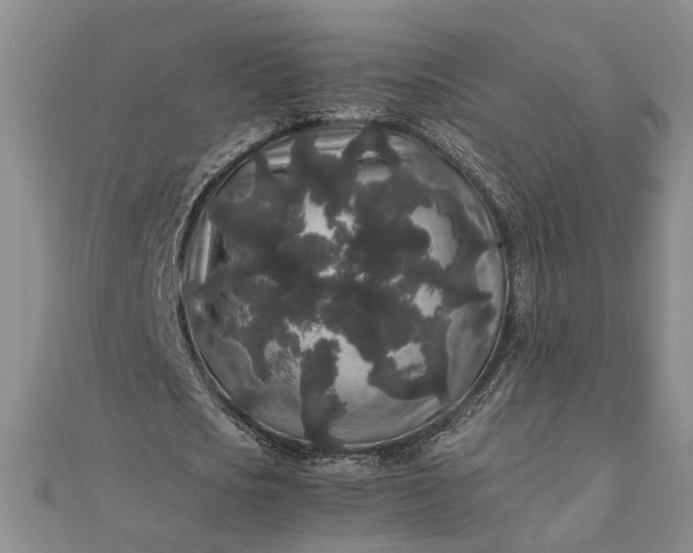 X0000111840721200908061253