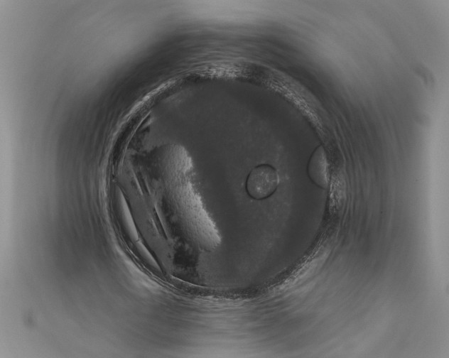 X0000111840722200908061253