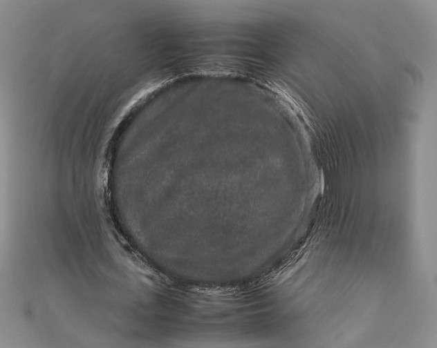 X0000111840723200908061253