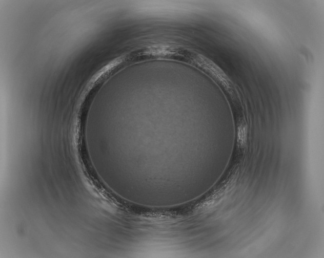 X0000111840724200908061253