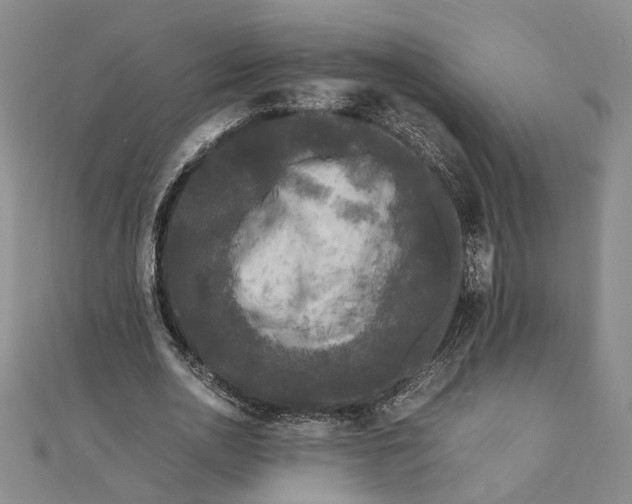 X0000111840726200908061253