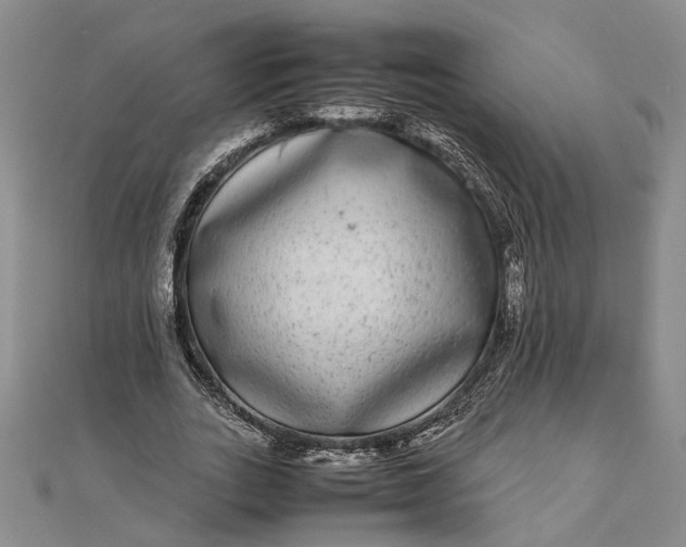 X0000111840727200908061253