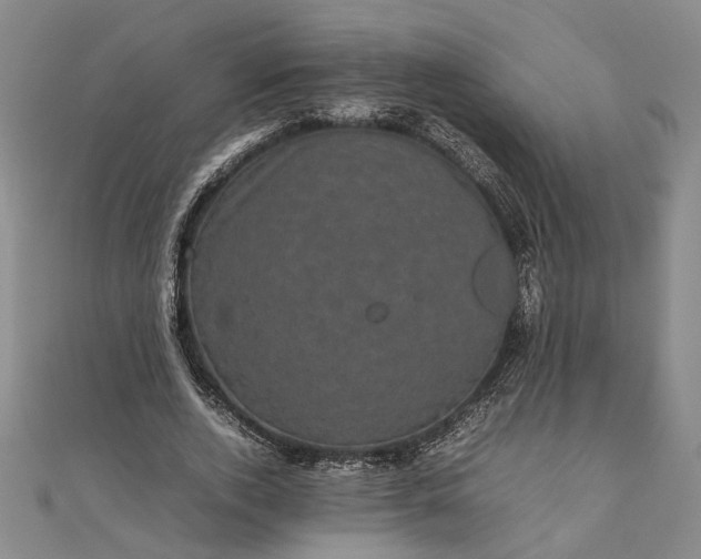 X0000111840728200908061253