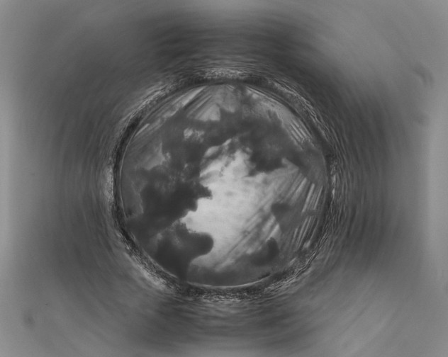 X0000111840729200908061253