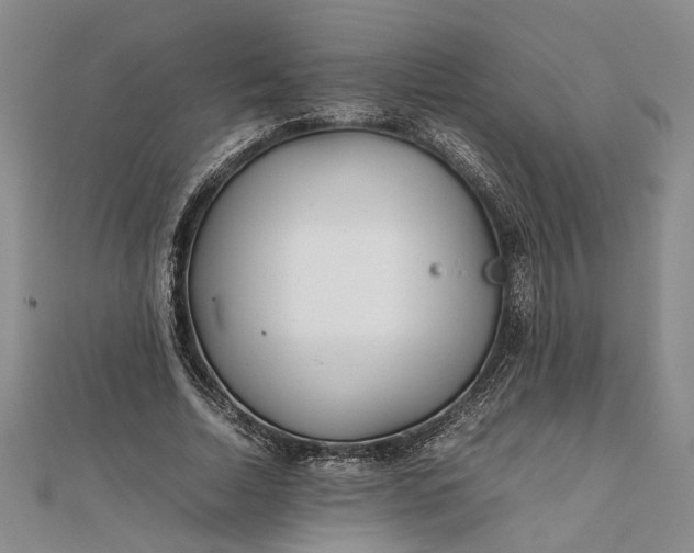 X0000111840730200908061253