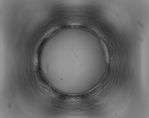 X0000111840731200908061253