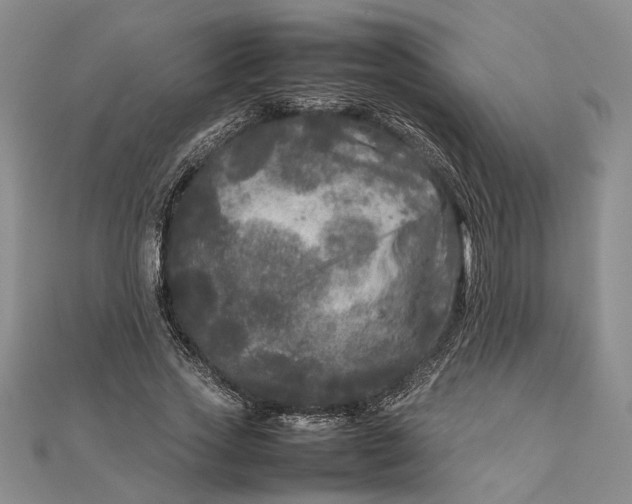 X0000111840733200908061253