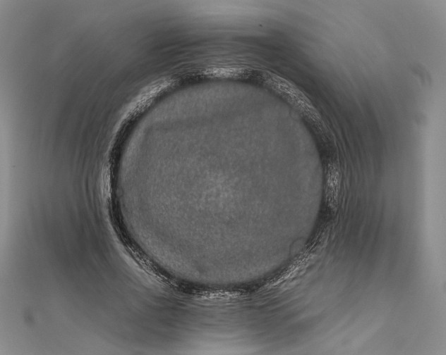 X0000111840734200908061253