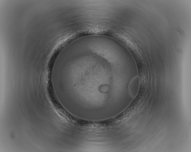 X0000111840736200908061253