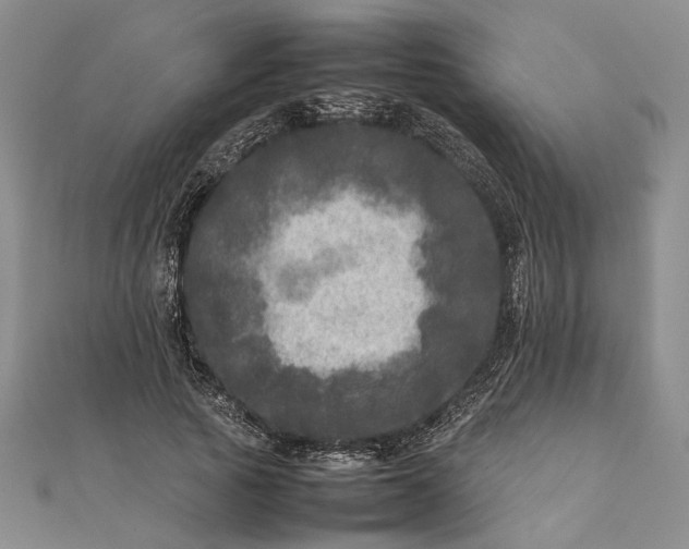 X0000111840737200908061253