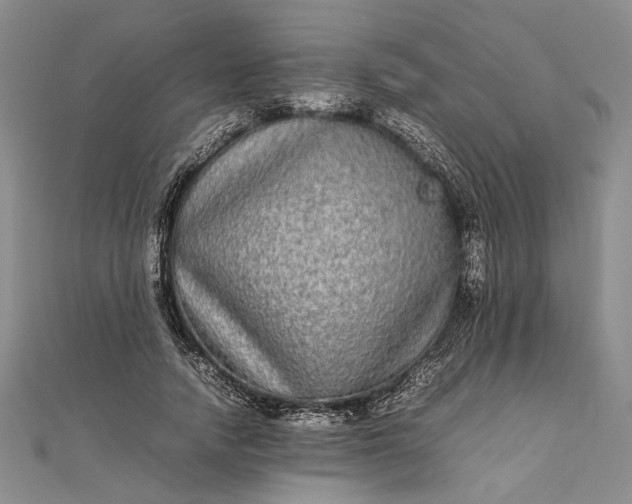 X0000111840738200908061253