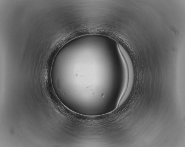 X0000111840740200908061253