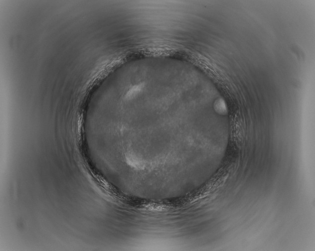 X0000111840742200908061253