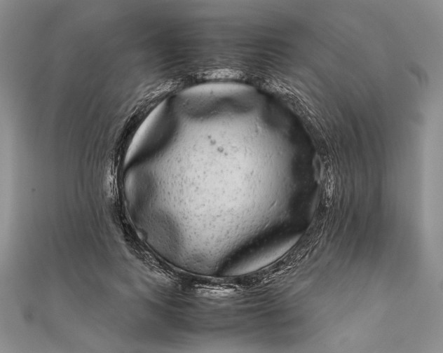 X0000111840743200908061253