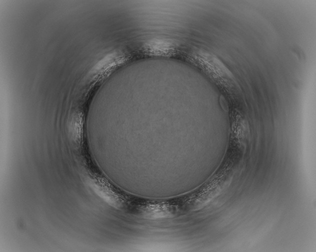 X0000111840744200908061253