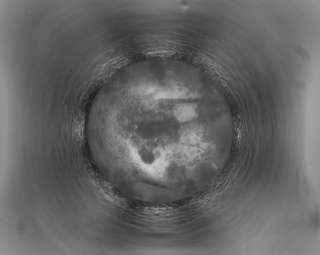 X0000111840745200908061253