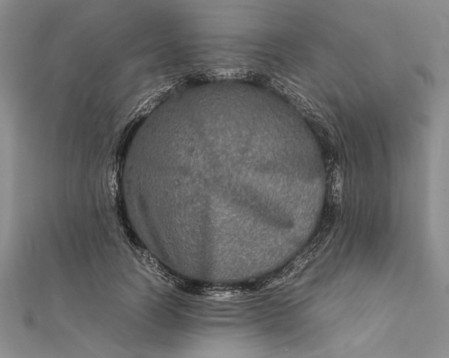 X0000111840746200908061253