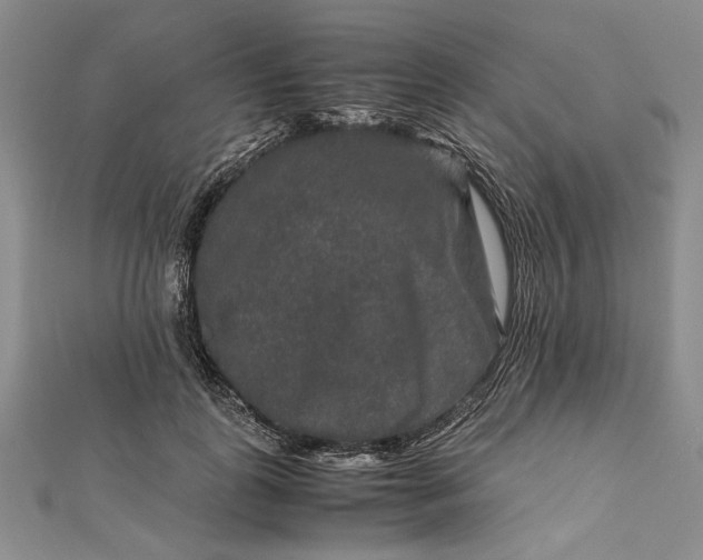 X0000111840747200908061253