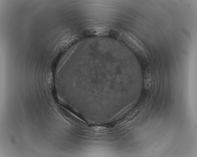 X0000111840748200908061253