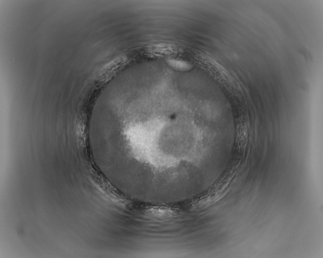 X0000111840749200908061253