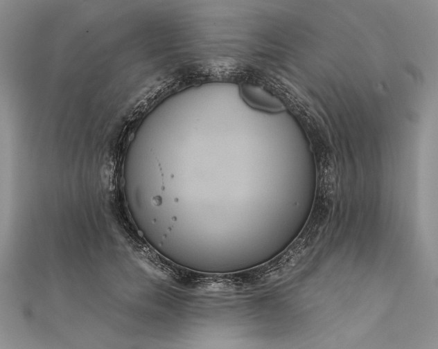 X0000111840750200908061253