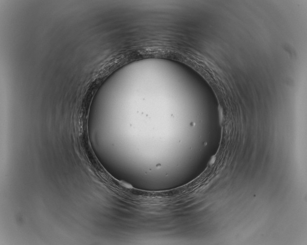 X0000111840751200908061253