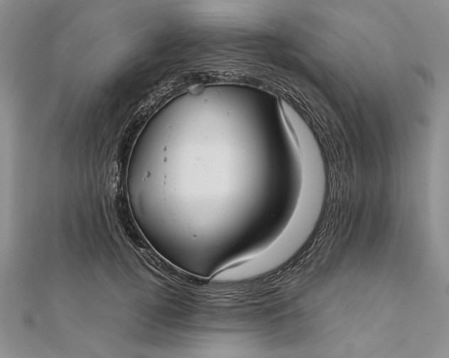 X0000111840752200908061253