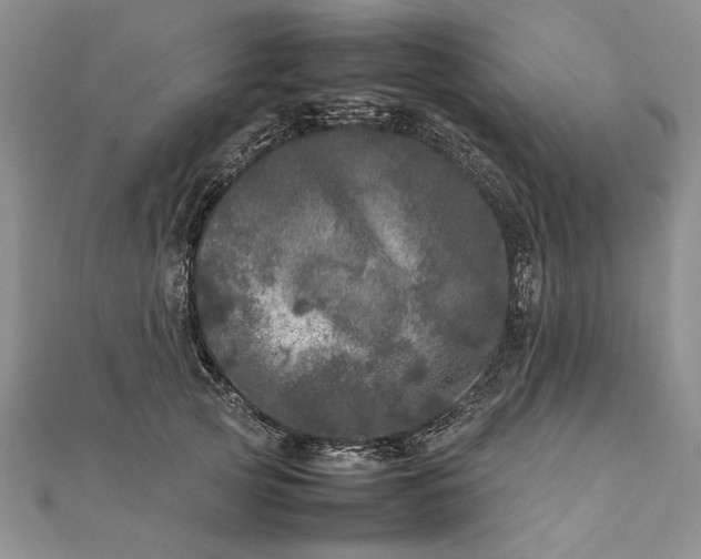 X0000111840753200908061253