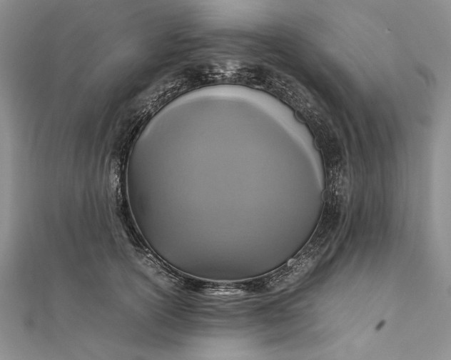 X0000111840754200908061253