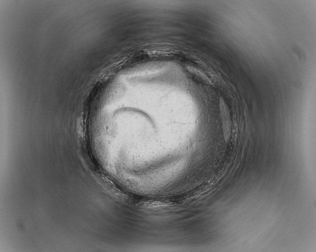 X0000111840755200908061253