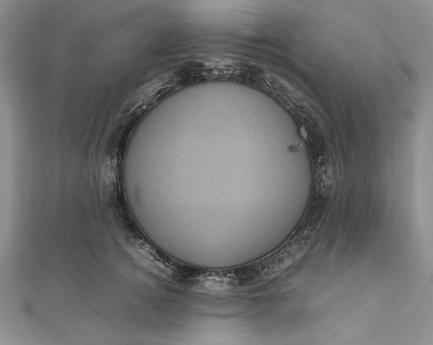 X0000111840756200908061253