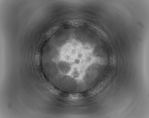 X0000111840757200908061253