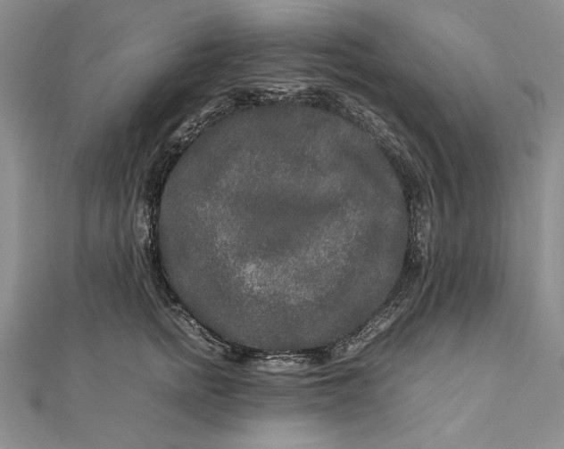 X0000111840758200908061253