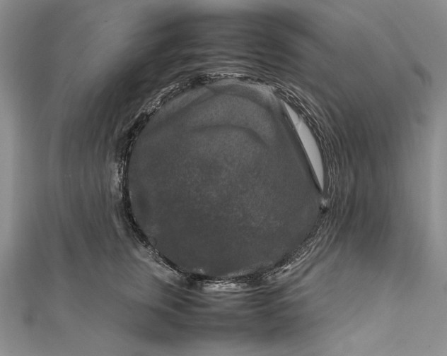 X0000111840759200908061253