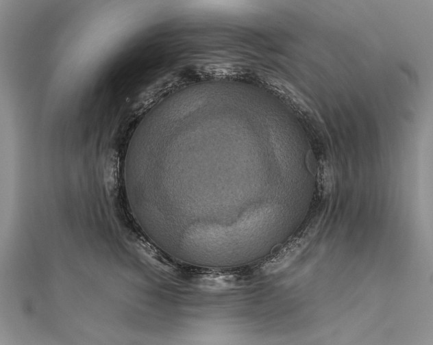 X0000111840760200908061253